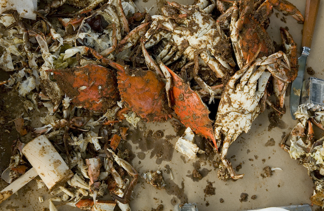 Crucial Items You Need for Your Next Crab Feast 